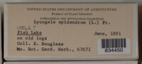 Image Associated With the Occurence